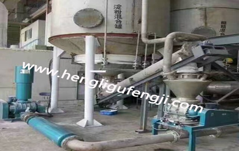 山東聊城面粉行業現場